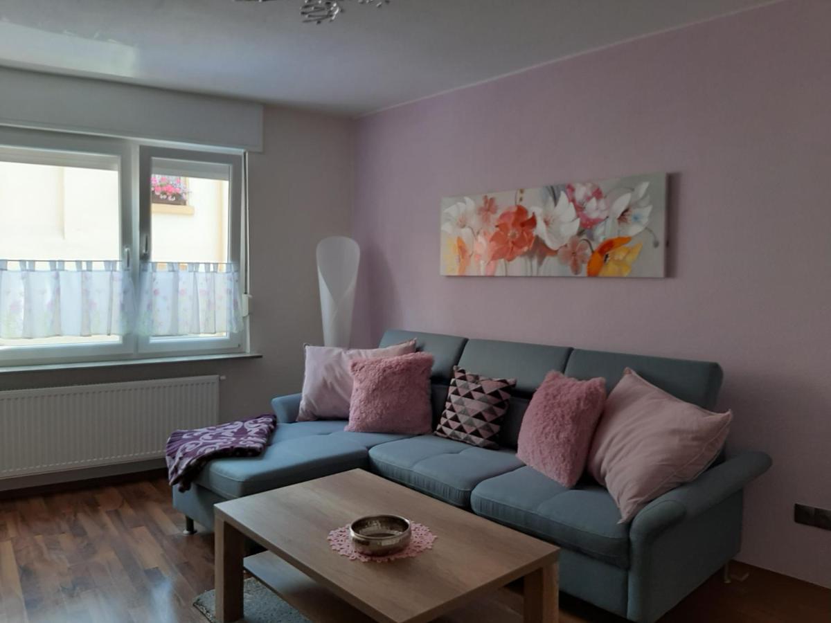 Ferienwohnung Wilfried Koblenz  Ngoại thất bức ảnh